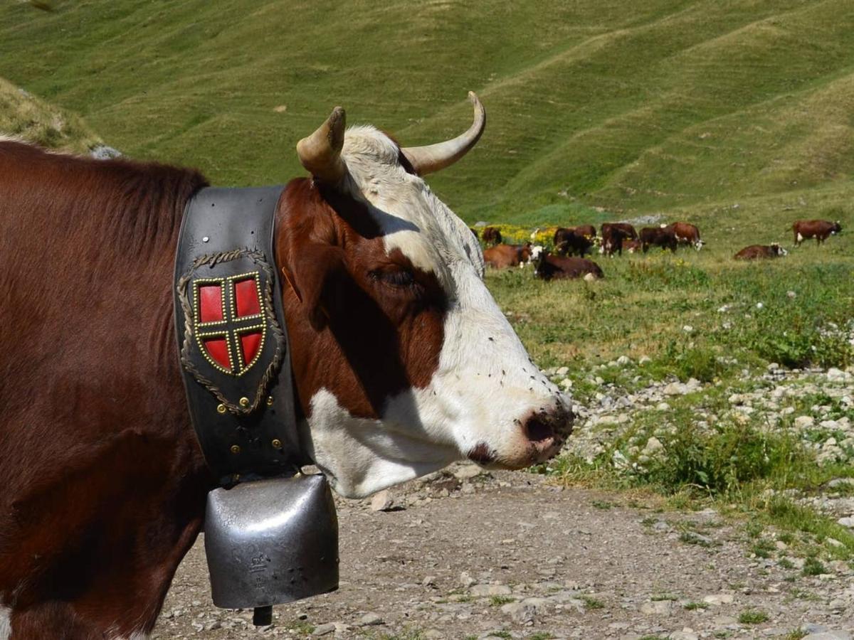 Le 211,Ski Et Randonnee, Lave Linge ,Parking Bernex Zewnętrze zdjęcie