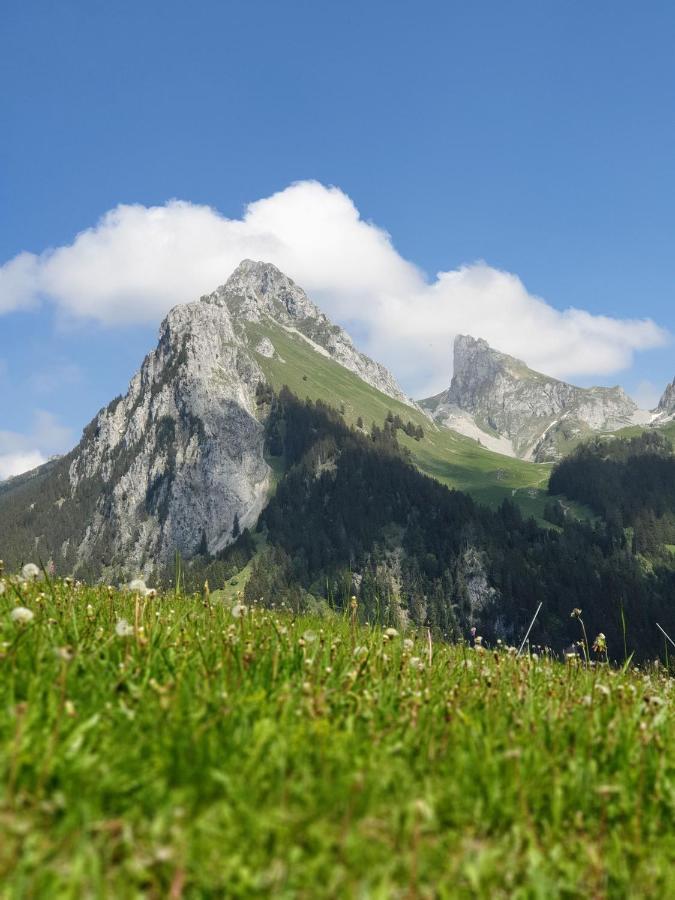 Le 211,Ski Et Randonnee, Lave Linge ,Parking Bernex Zewnętrze zdjęcie